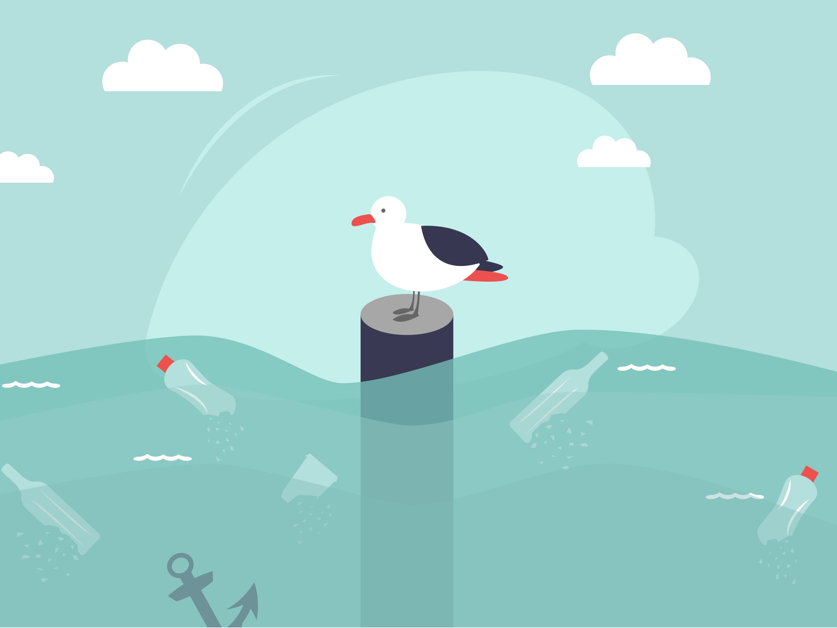 Understanding Microplastics & How They Affect Our Marine Life