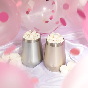 
                  
                    12 oz Wine Tumbler - 2 Set Silver
                  
                